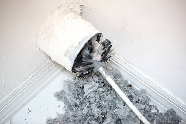 Best Home Air Vent Cleaning  in Hamlet, IN